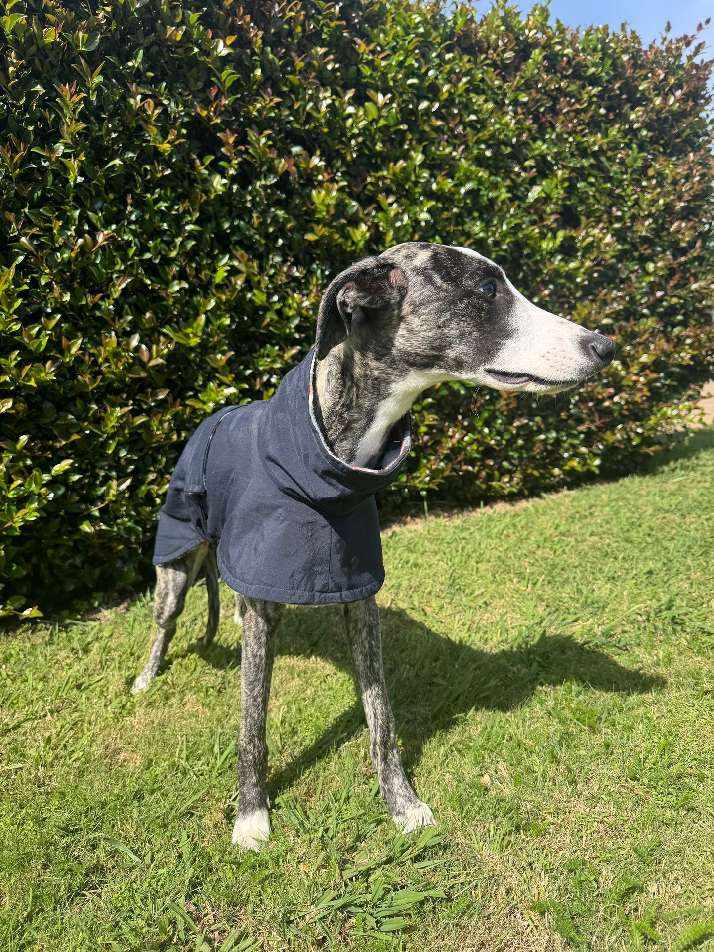 Water-Resistant Jacket