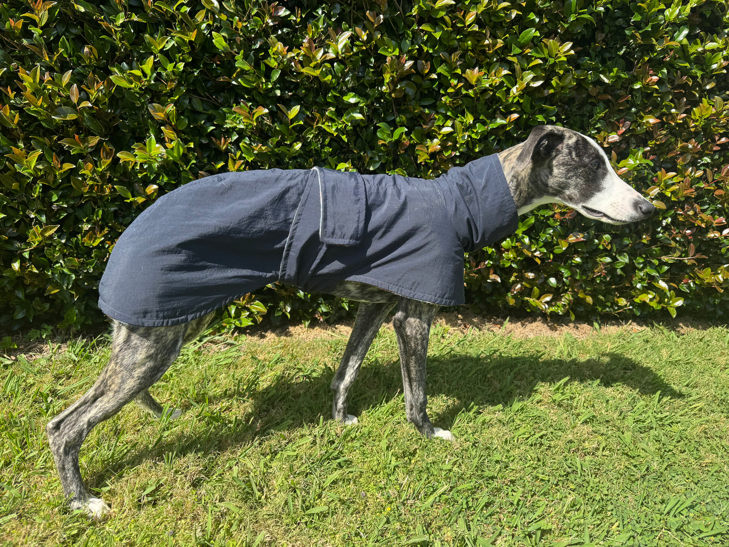 Water-Resistant Jacket
