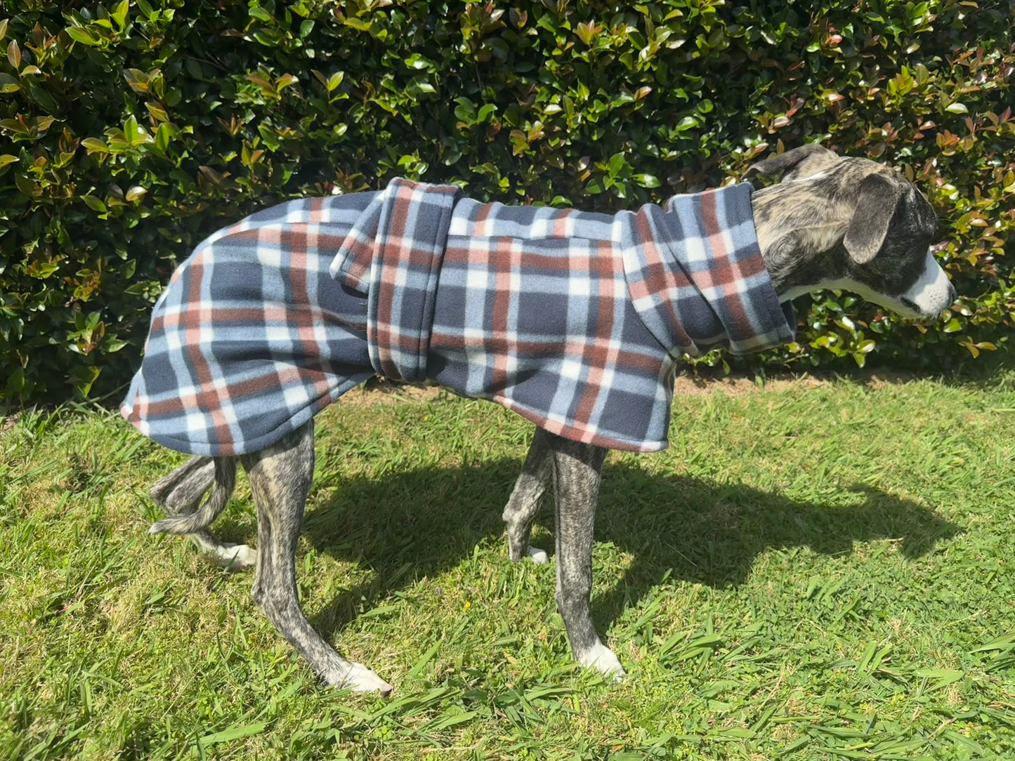 Reversible Fleece Jacket
