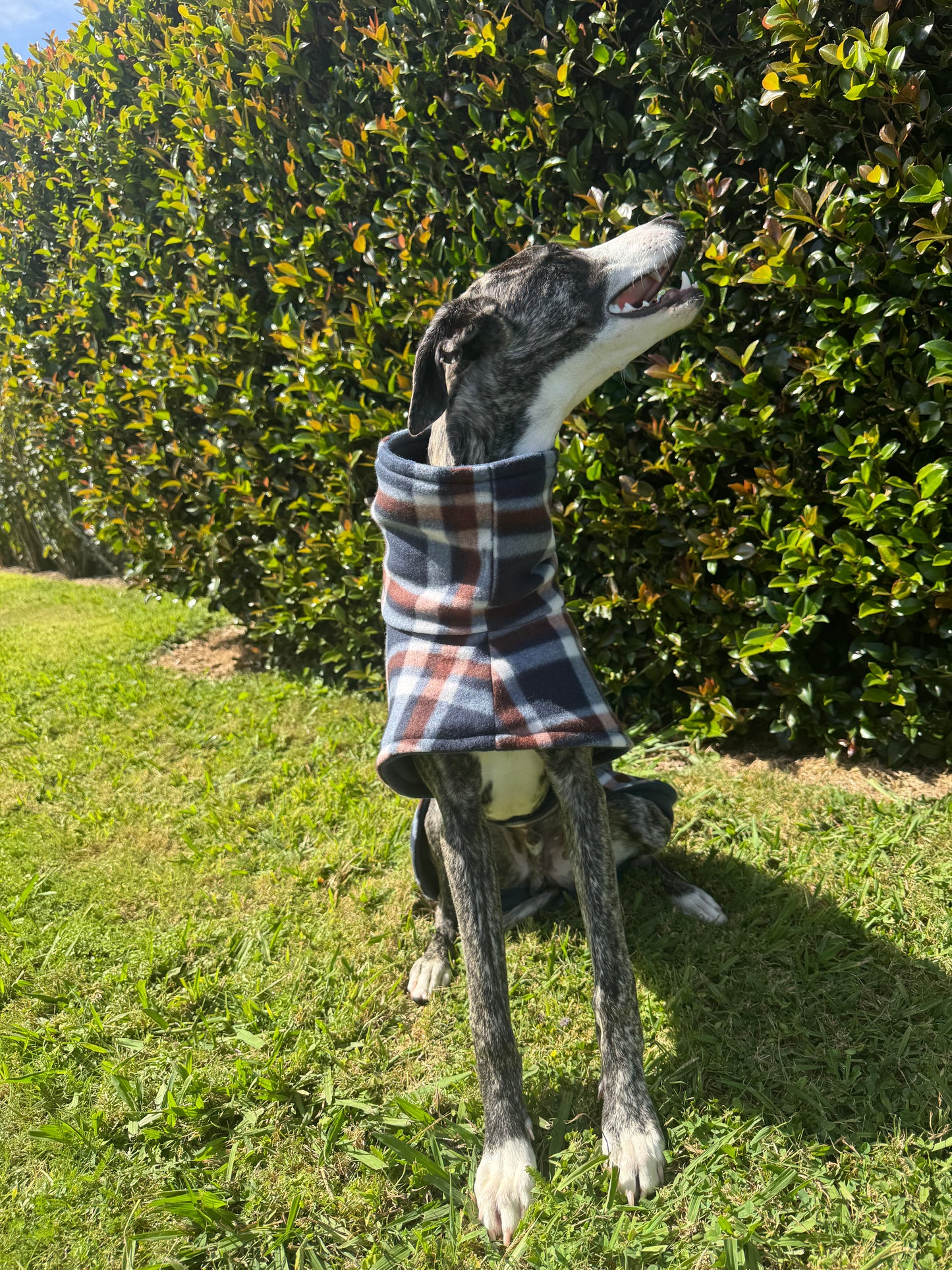 Reversible Fleece Jacket