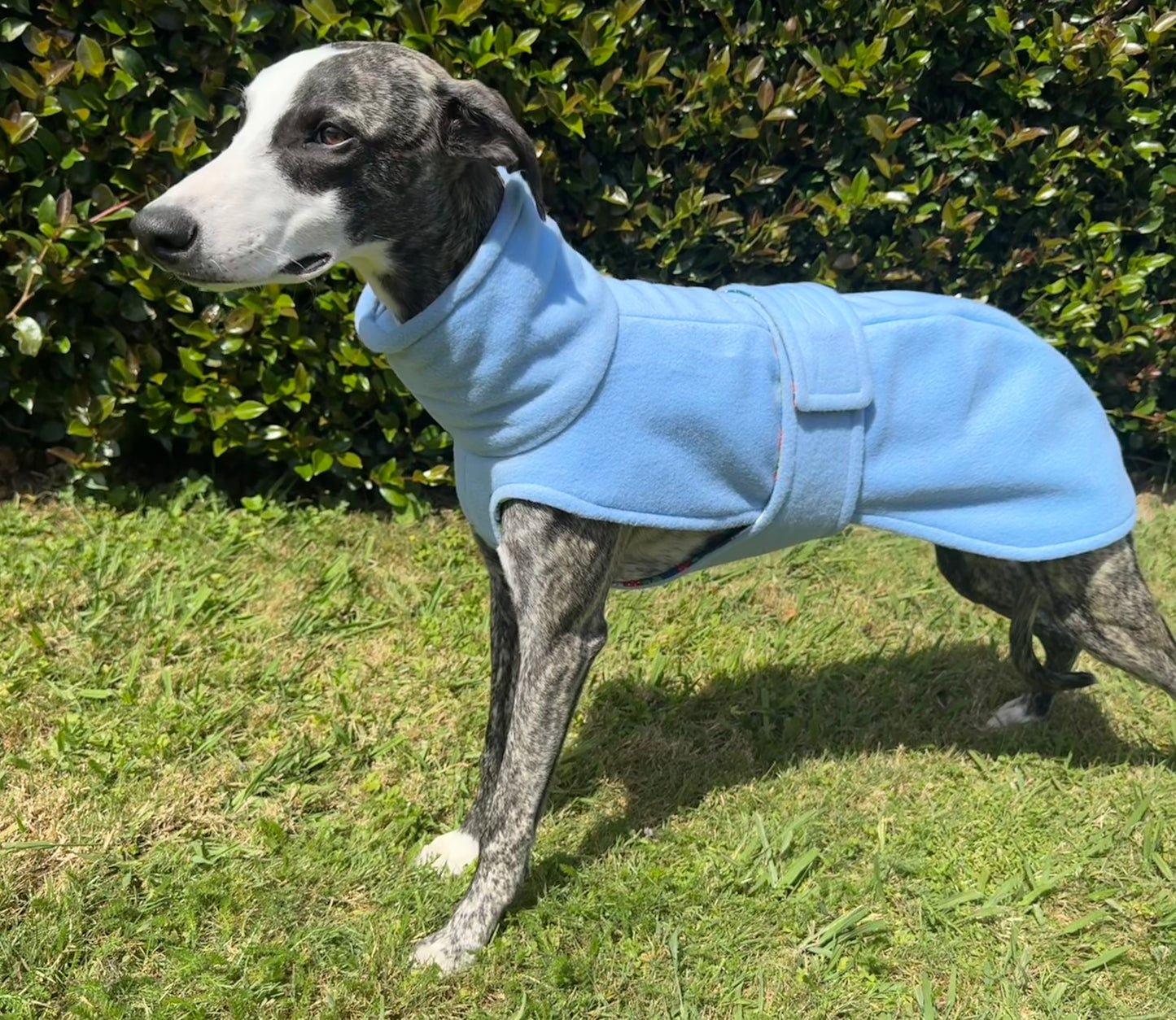 Fleece Vest