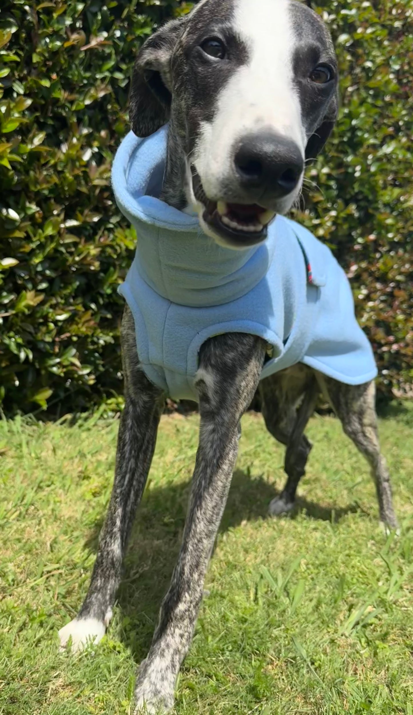 Fleece Vest